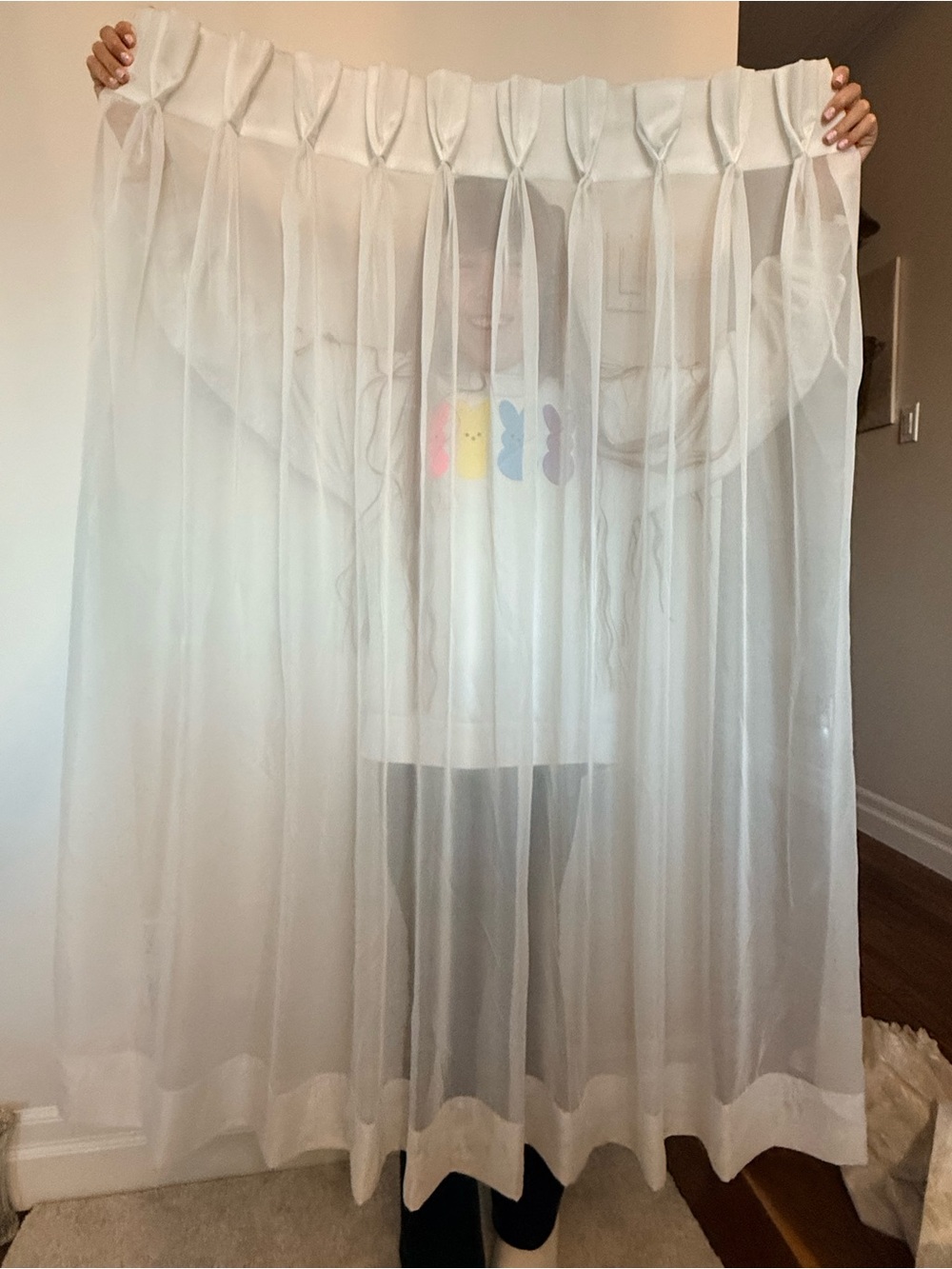 Sheer White Curtain Panels set of 2 - Soft Voile